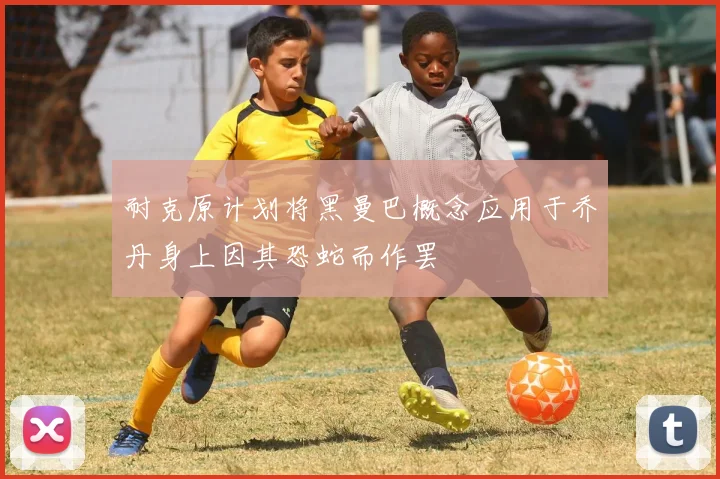 耐克原计划将黑曼巴概念应用于乔丹身上因其恐蛇而作罢