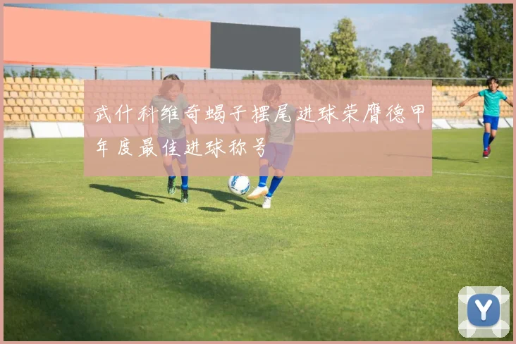 武什科维奇蝎子摆尾进球荣膺德甲年度最佳进球称号